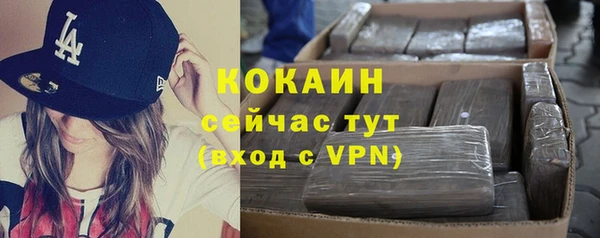 эйфоретик Арсеньев