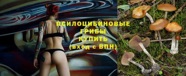 спиды Аркадак