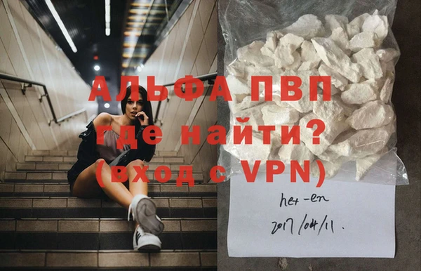 эйфоретик Арсеньев