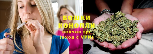 спиды Аркадак