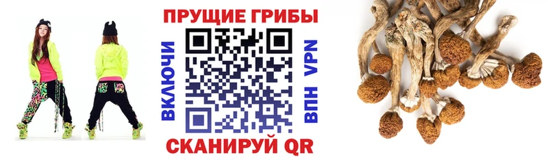 Галлюциногенные грибы мухоморы  Оханск 
